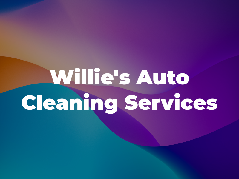 Willie's Auto Cleaning Services