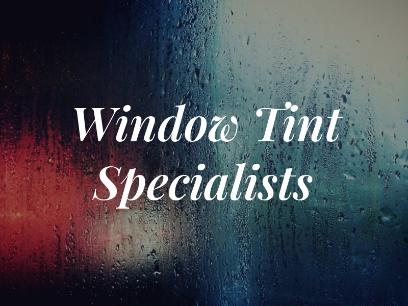 Window Tint Specialists