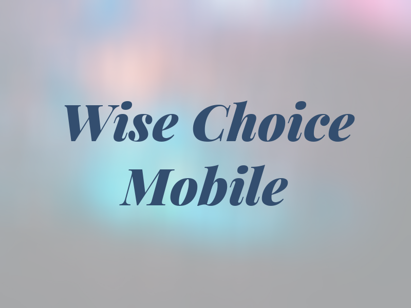 Wise Choice Mobile Rv Llc