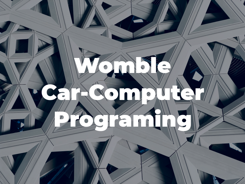 Womble Car-Computer Programing