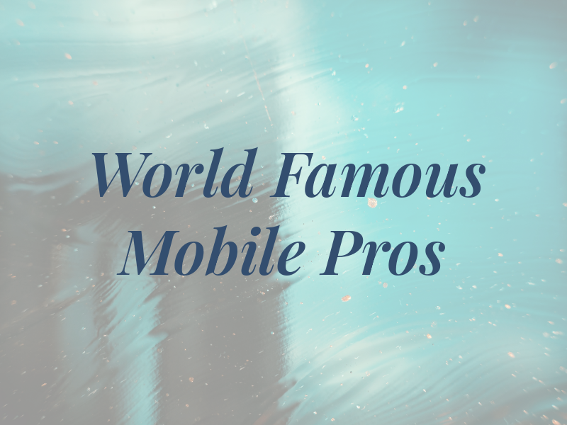 World Famous Mobile RV Pros