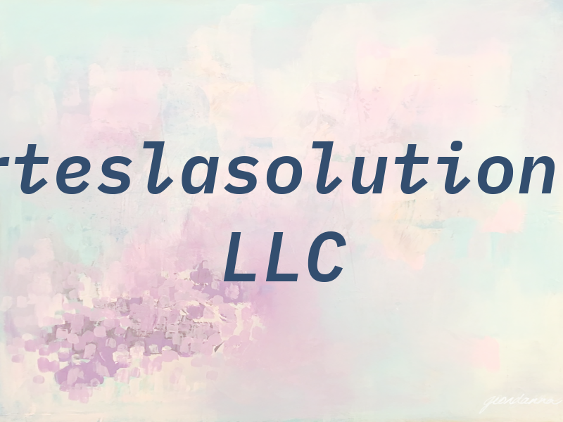 Yourteslasolution.com LLC