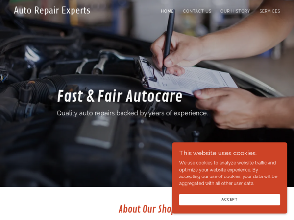 Auto Repair Experts