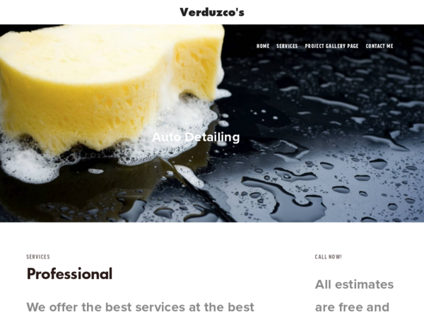 Verduzcos Mobile Detailing