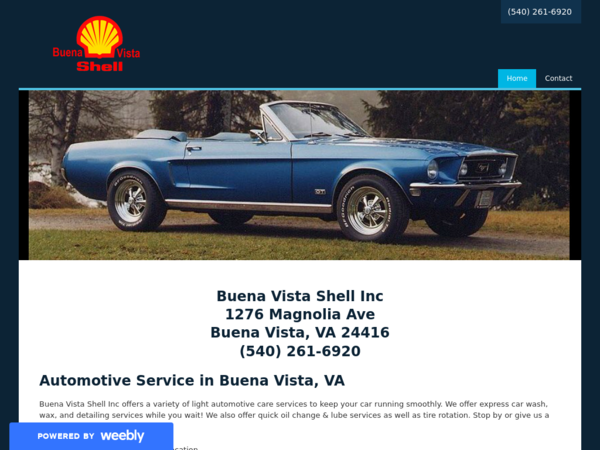 Buena Vista Shell Inc